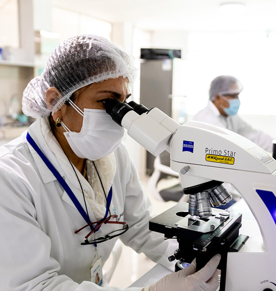 Compromisos Laboratorio Pérez Aldave